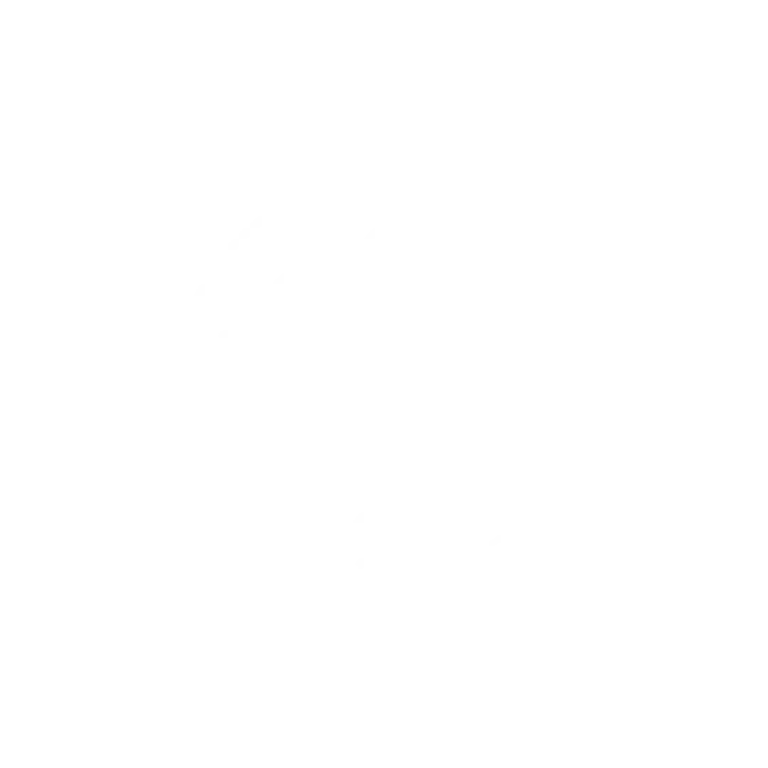 Pixel Pro Reno
